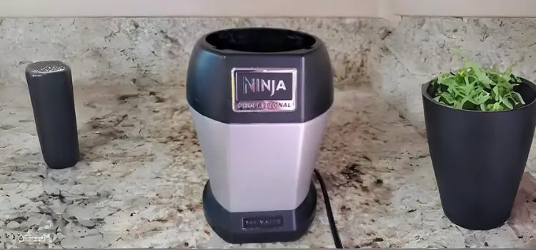 How to Clean Ninja Blender Base