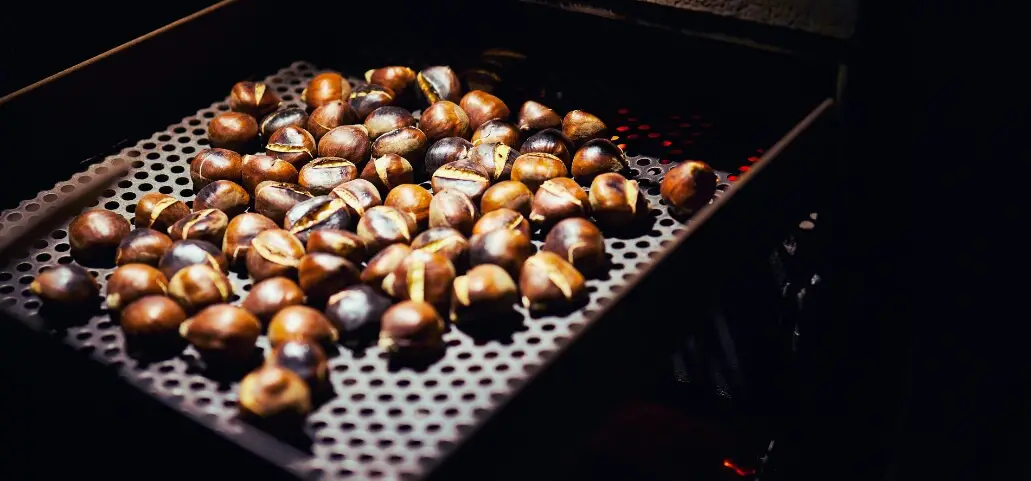 How to Roast Chestnuts in Toaster Oven: Ultimate Toaster Oven Mastery