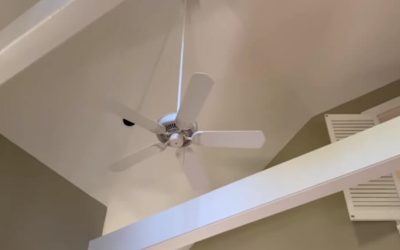 Best Ceiling Fans for Beach House